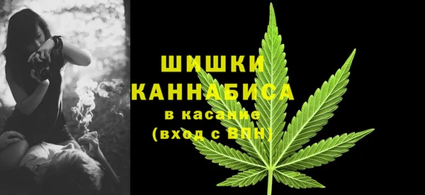 ПСИЛОЦИБИНОВЫЕ ГРИБЫ Новозыбков