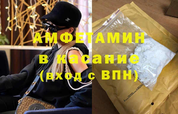 ПСИЛОЦИБИНОВЫЕ ГРИБЫ Новозыбков