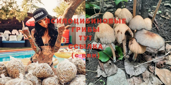 молекула духа Новокубанск