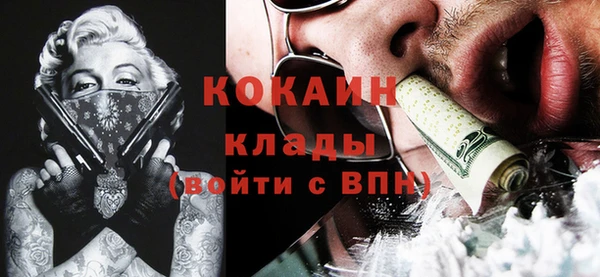 бошки Новодвинск
