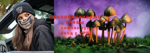ПСИЛОЦИБИНОВЫЕ ГРИБЫ Нефтегорск